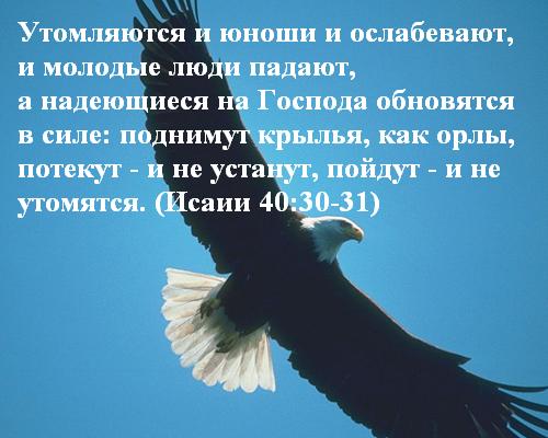 Утомляются и юноши и ослабевают, и молодые люди падают, а надеющиеся на Господа обновятся в силе: поднимут крылья, как орлы, потекут - и не устанут, пойдут - и не утомятся. (Исаии 40:30-31)