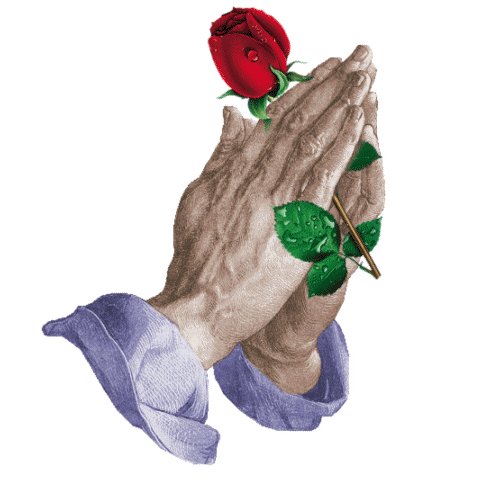букет роз